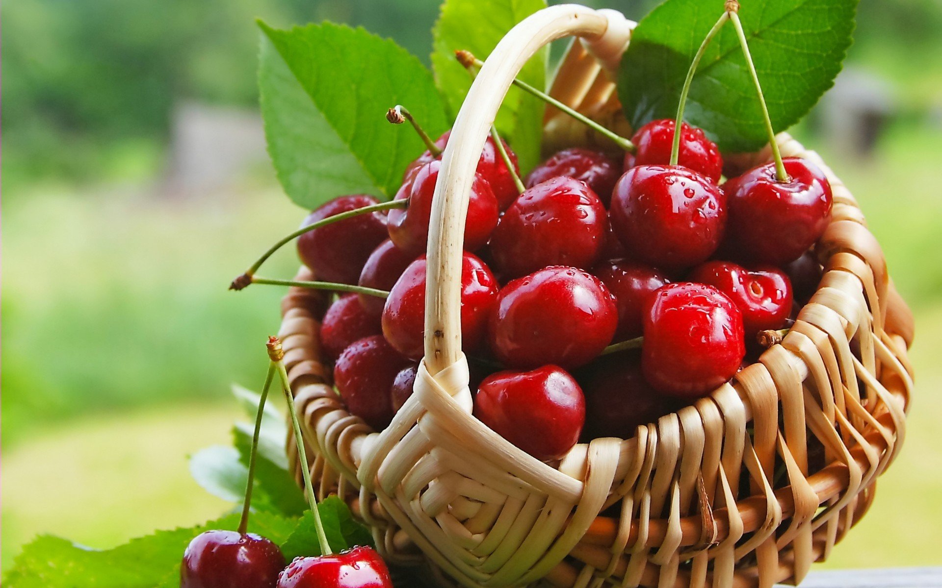 food Wallpaper