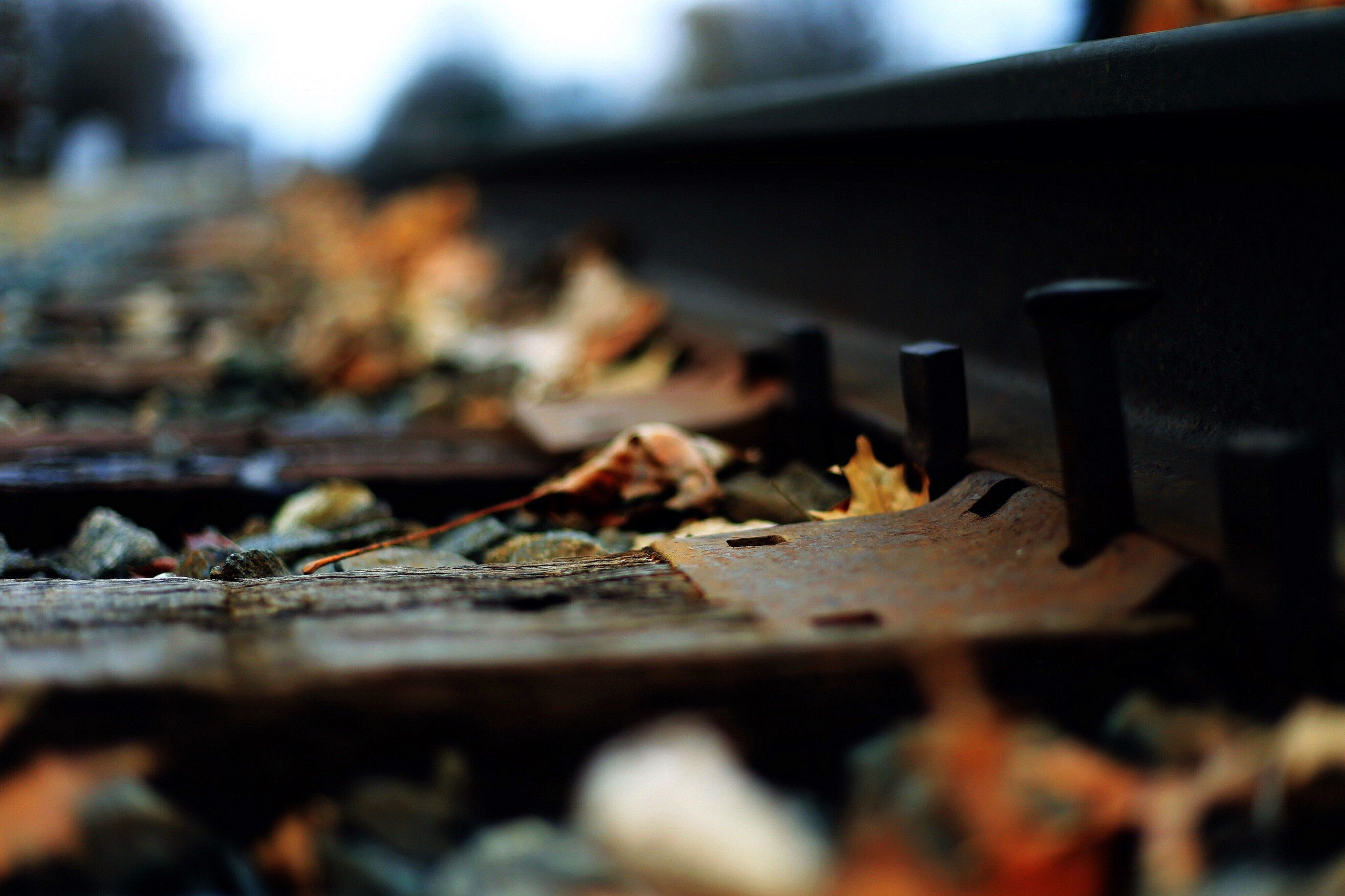macro, Depth of field, Railway, Leaves Wallpaper