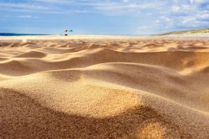 sand, Macro