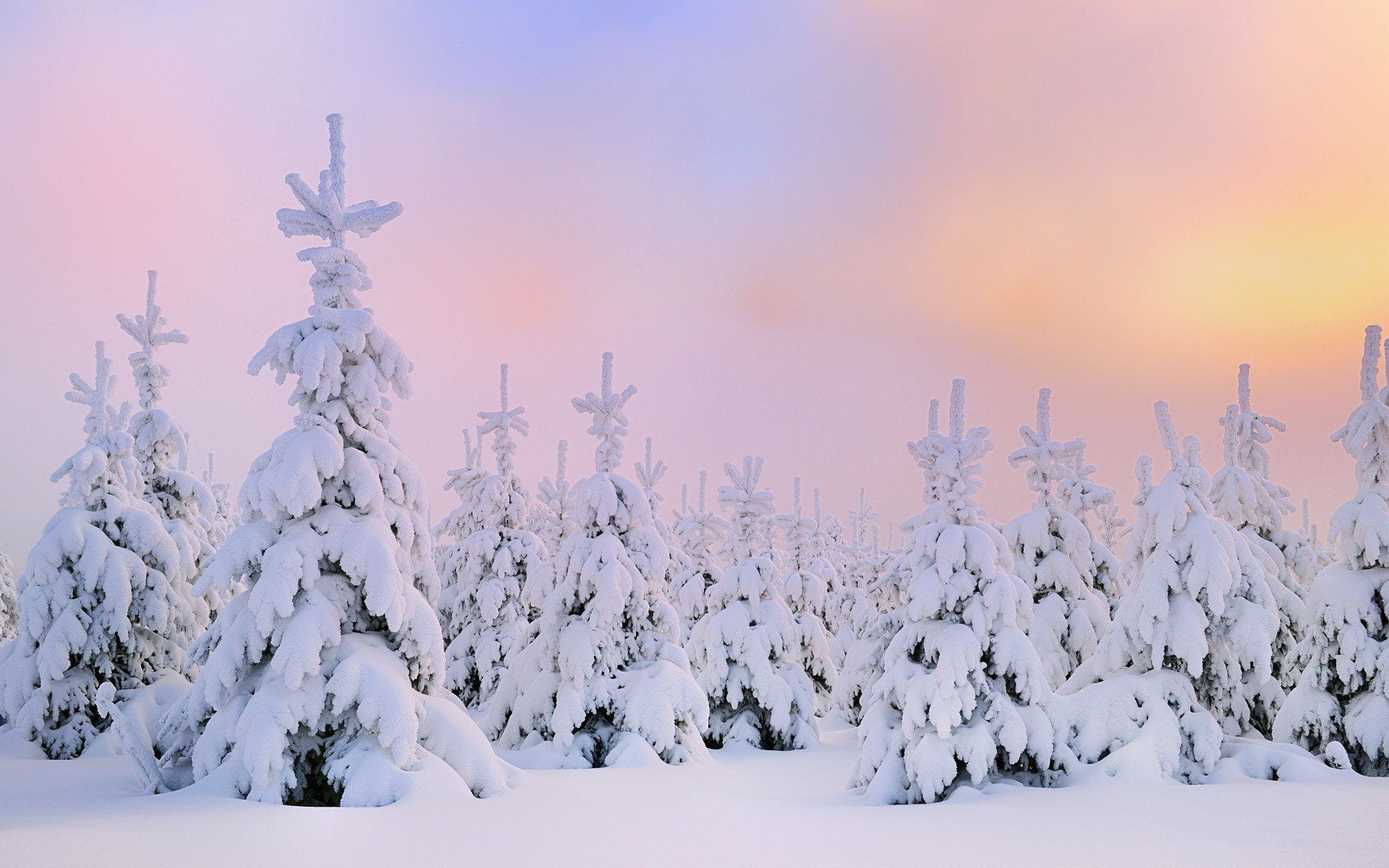 snow Wallpaper