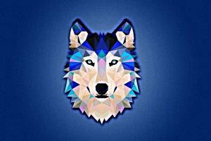 wolf, Minimalism, Blue, White
