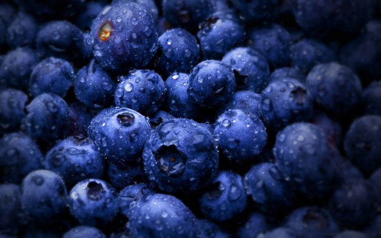 macro, Fruit, Water drops, Blueberries HD Wallpaper Desktop Background