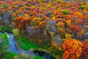 creeks, Fall, Iowa