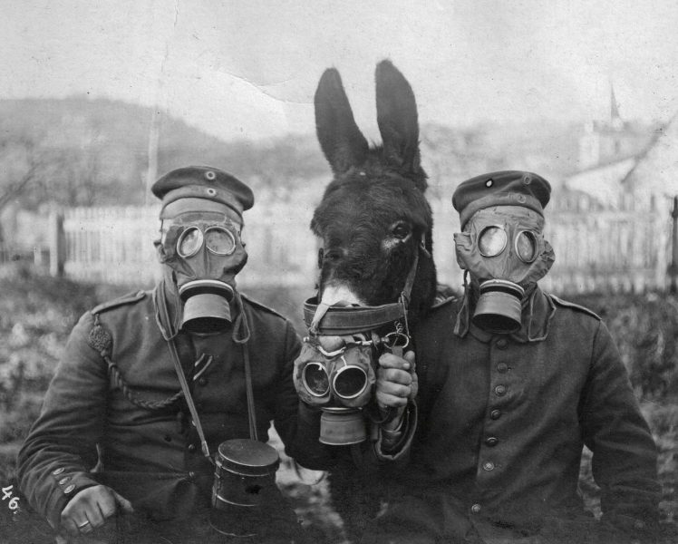 gas masks, World War I HD Wallpaper Desktop Background