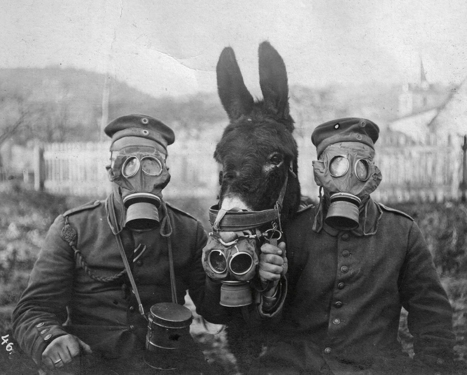gas masks, World War I Wallpaper