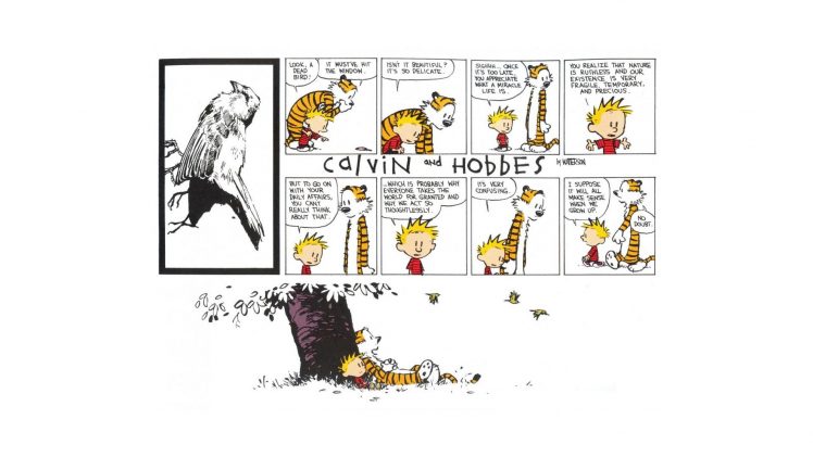 Calvin and Hobbes HD Wallpaper Desktop Background