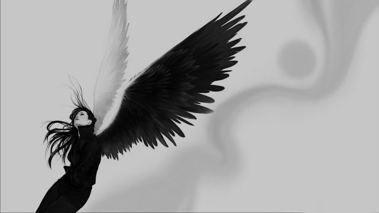 monochrome, Black, Wings, Angel wings HD Wallpaper Desktop Background