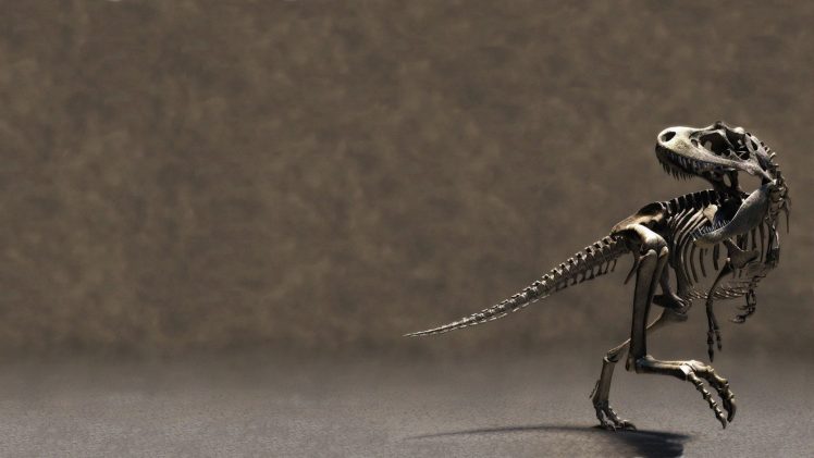 dinosaurs, Skeleton HD Wallpaper Desktop Background