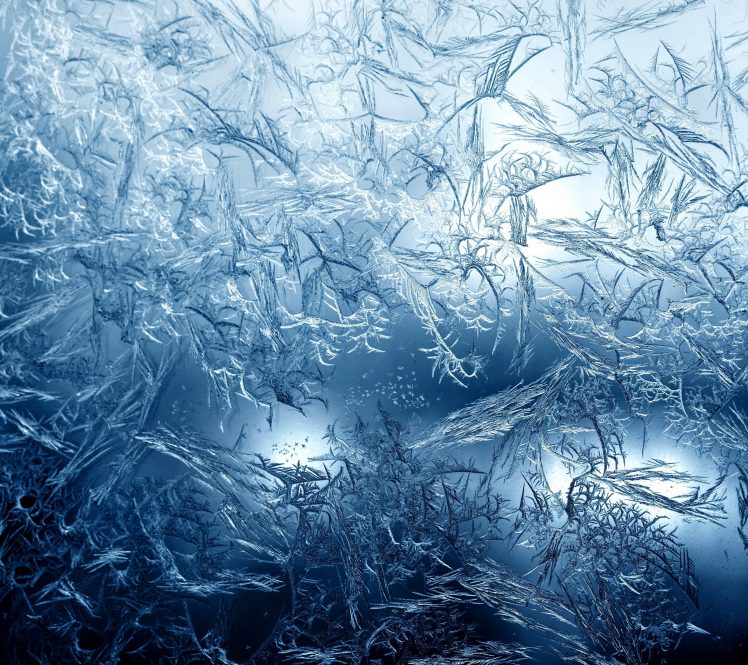 ice, Frost, Macro HD Wallpaper Desktop Background