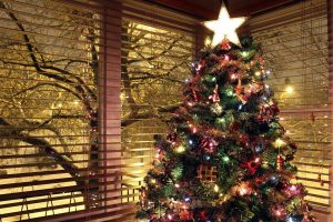 christmas lights, Trees, Christmas ornaments