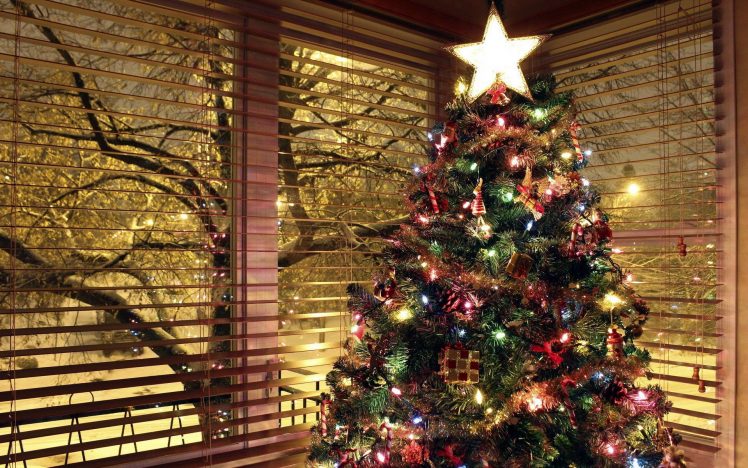 christmas lights, Trees, Christmas ornaments HD Wallpaper Desktop Background