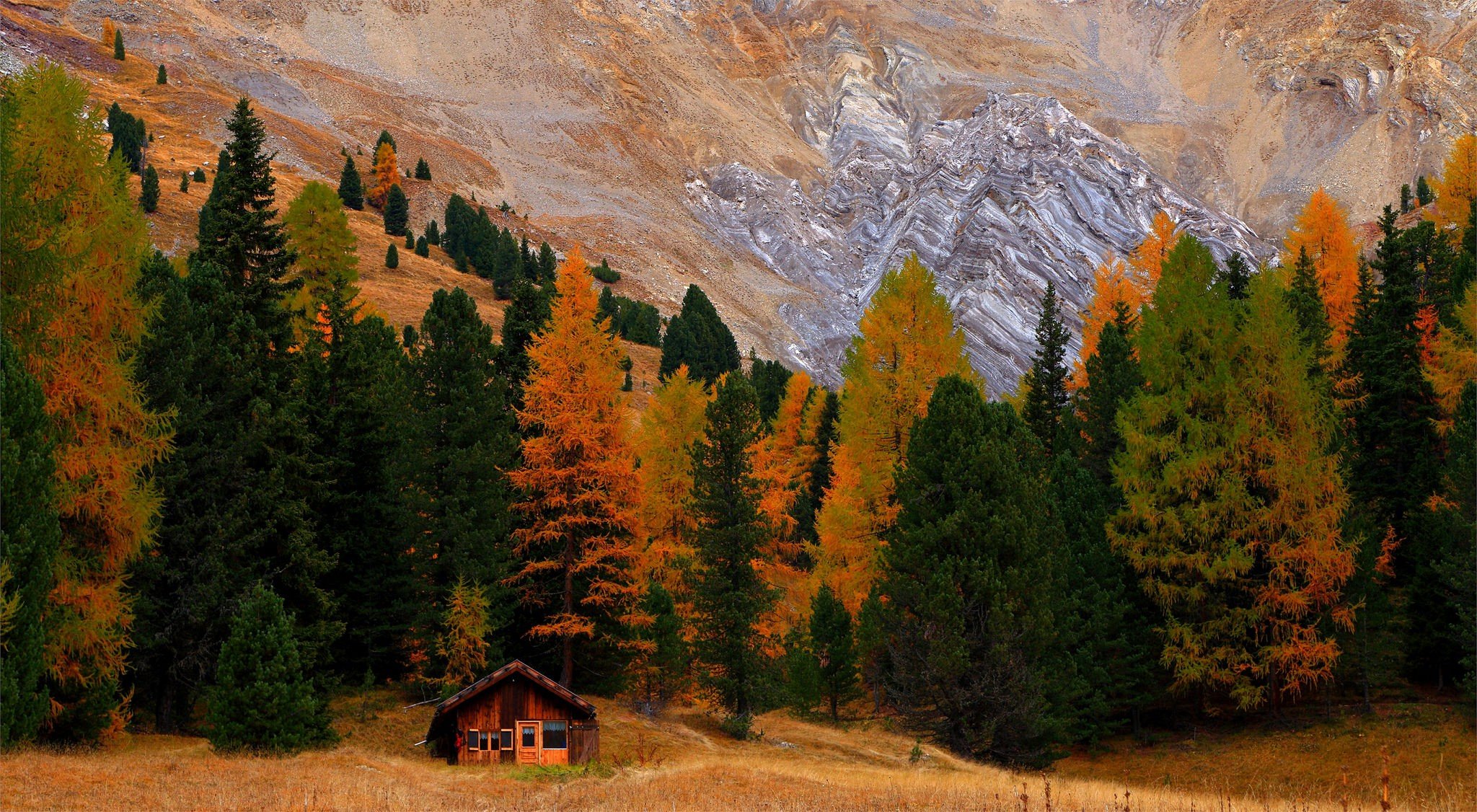 trees, Fall, Hut Wallpaper