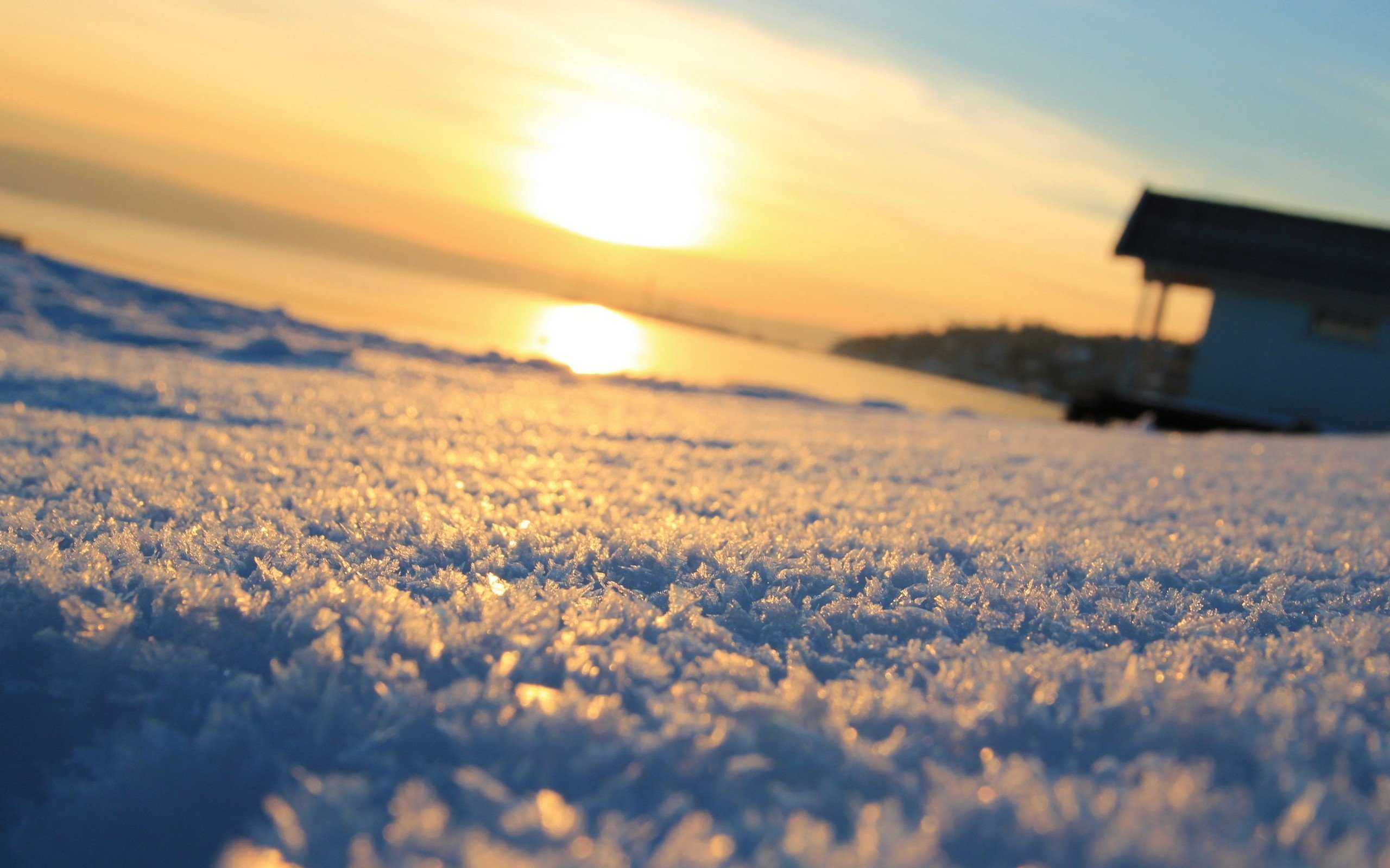 snow, Frost Wallpaper