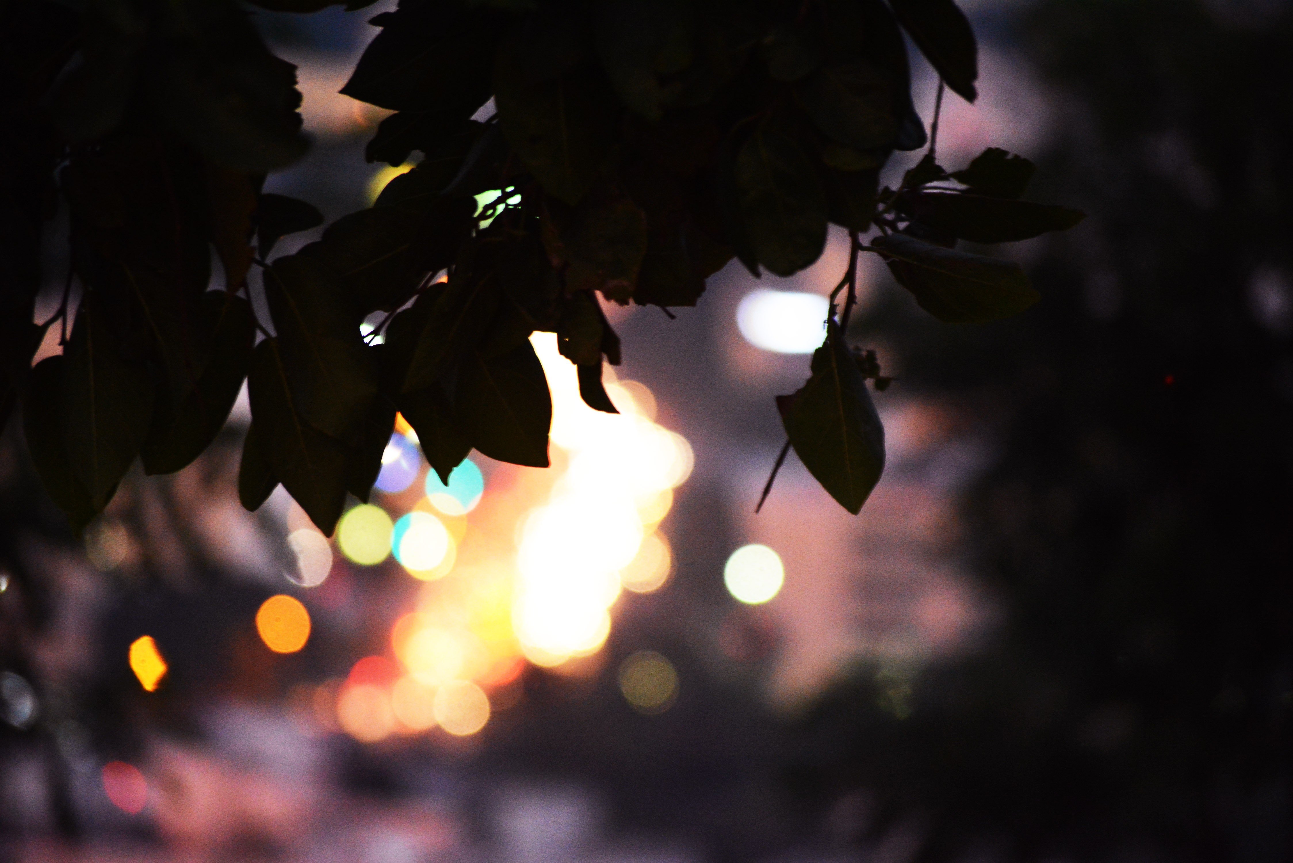 bokeh, City, Leaves, Top view Wallpaper