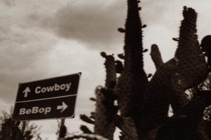 Cowboy Bebop, Adult Swim, Anime