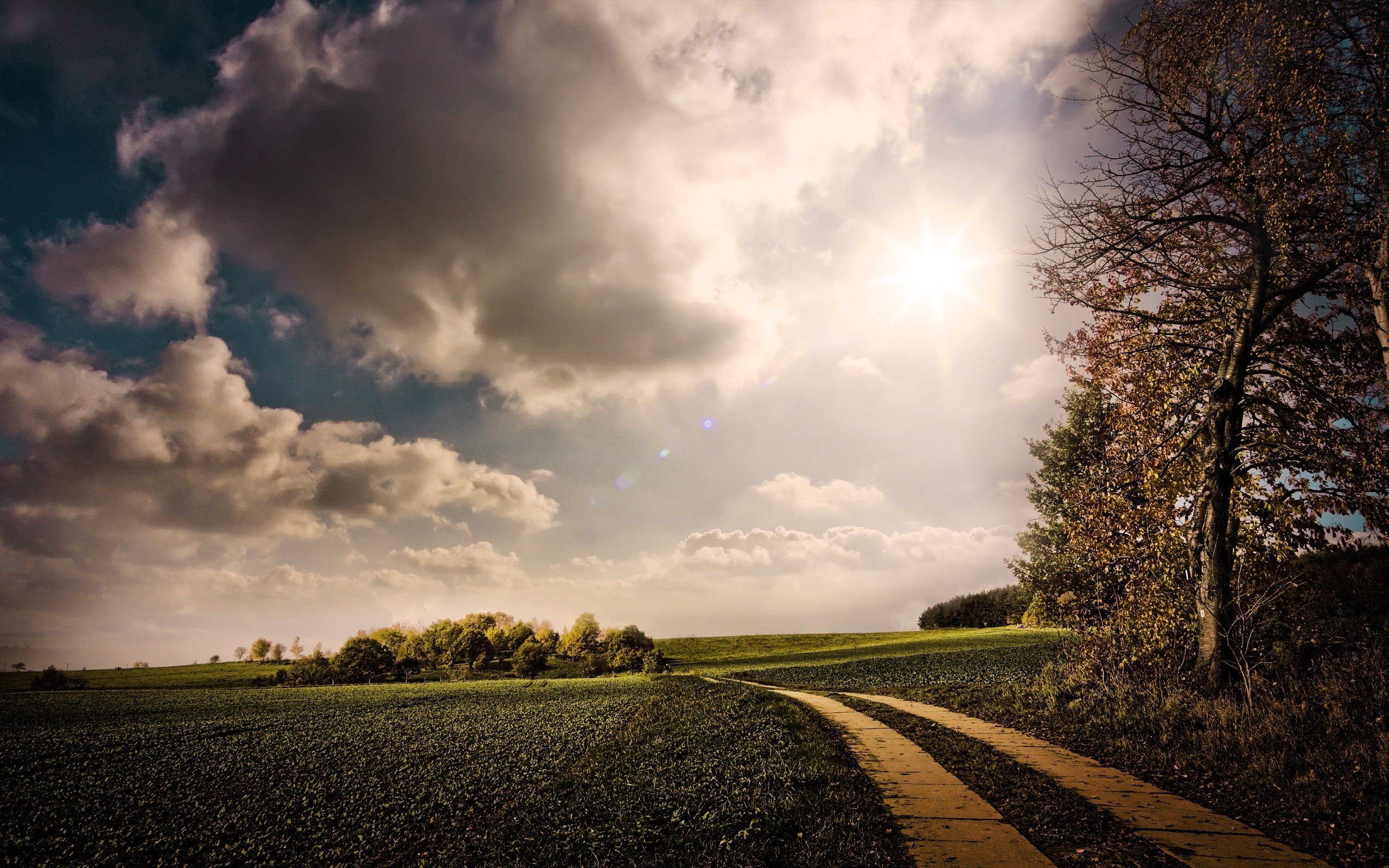 road Wallpaper