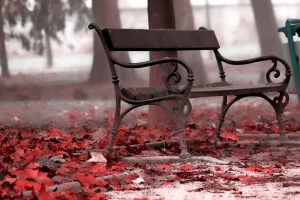 bench, Fall, Leaves