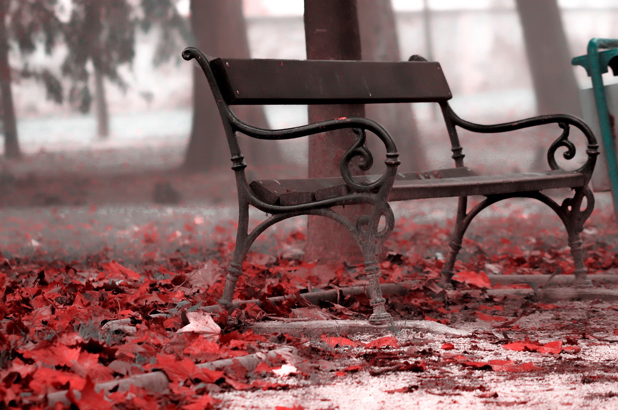 bench, Fall, Leaves Wallpaper