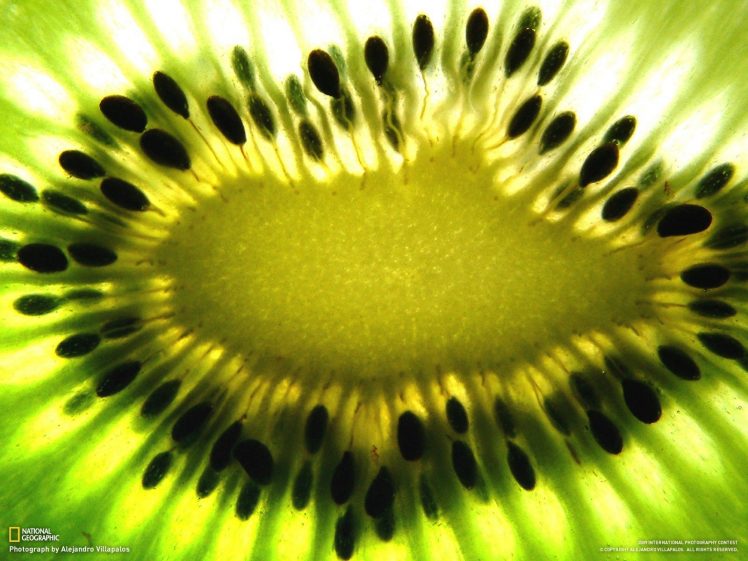 National Geographic, Kiwi (fruit), Fruit, Macro, Seeds HD Wallpaper Desktop Background