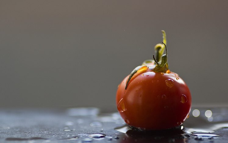food, Water, Tomatoes HD Wallpaper Desktop Background