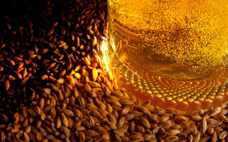beer, Barley HD Wallpaper Desktop Background