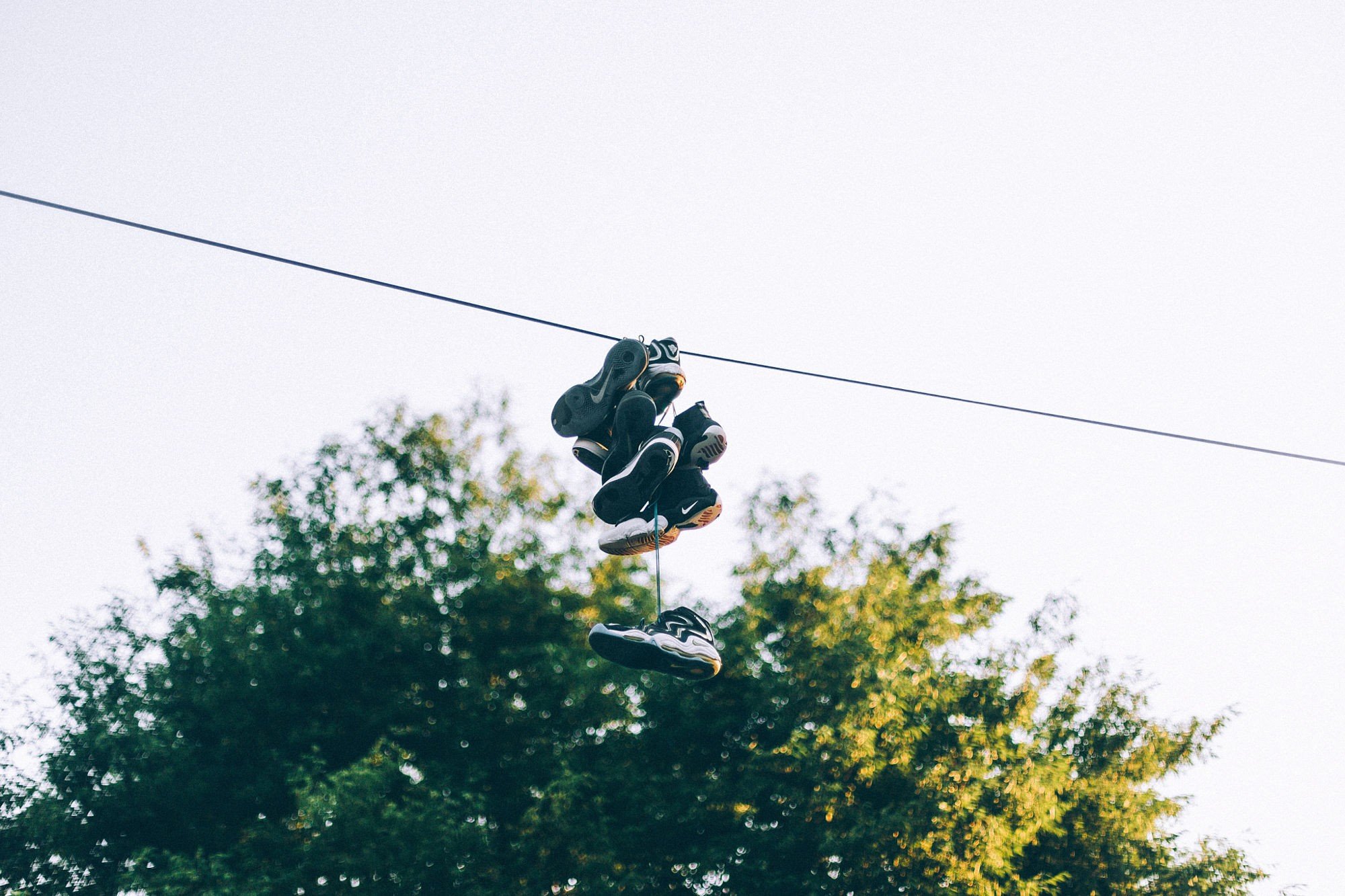 shoes, Trees, Sneakers, Power lines, Bokeh Wallpaper