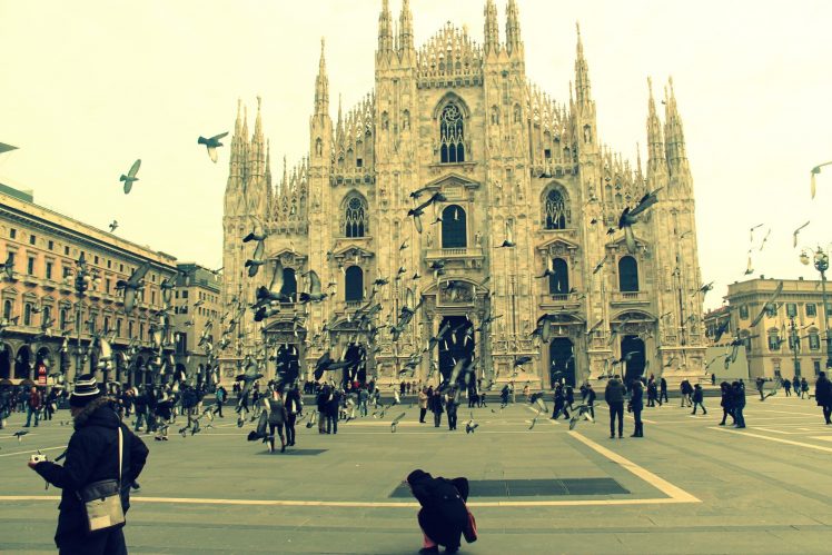 pigeons, Old building, City, Milan, Italy HD Wallpaper Desktop Background