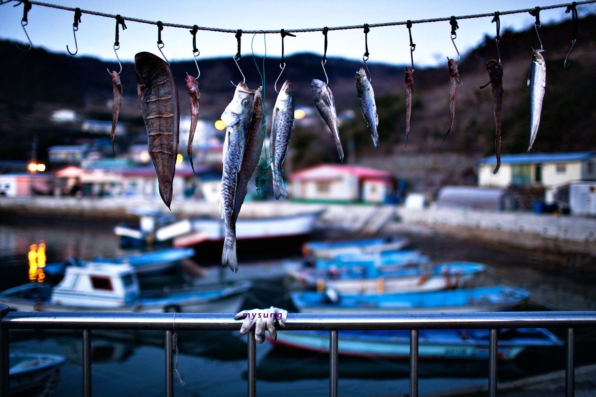 fish hooks, Fish, Iceland Wallpaper