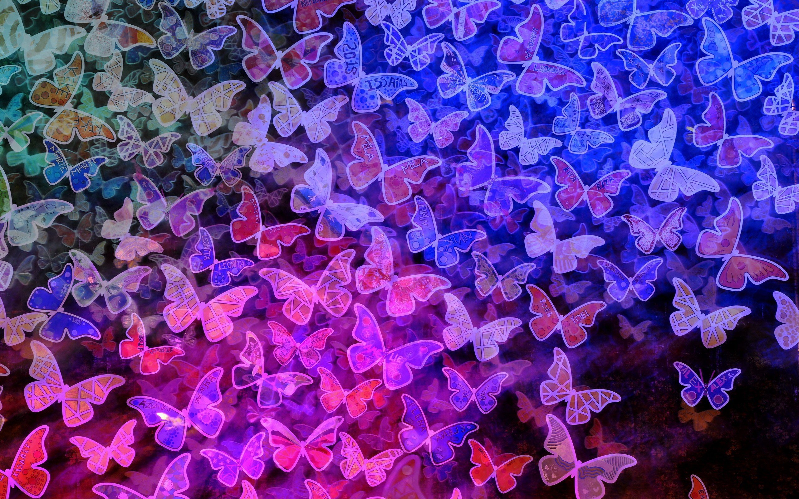 butterfly Wallpaper