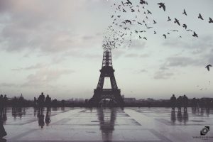 Paris, Photo manipulation, Photoshop, City, France, Eiffel Tower