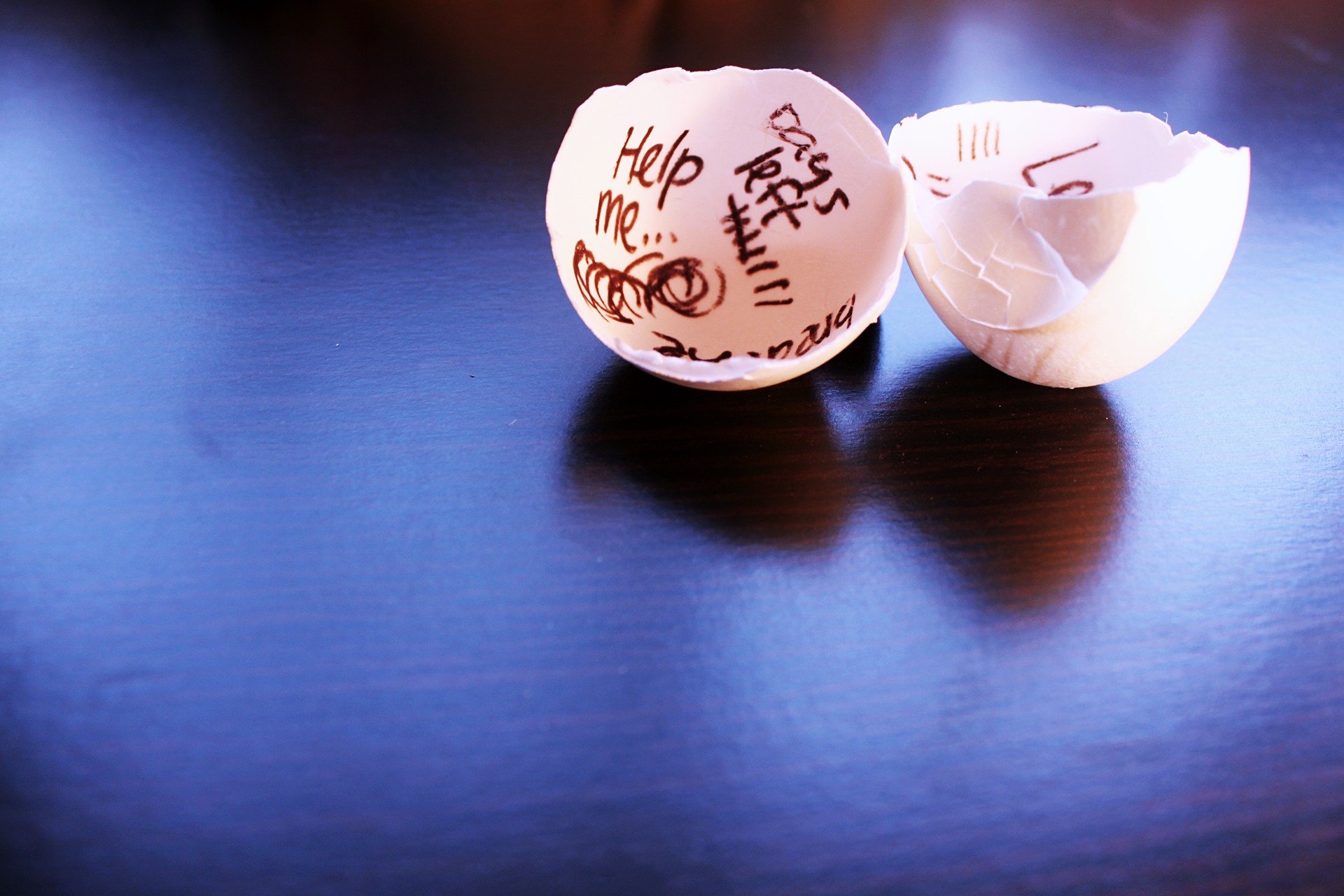 eggs, Broken, Writing, Help note Wallpaper