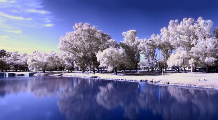 lake, Trees, Snow, Frozen lake HD Wallpaper Desktop Background