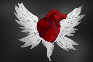 heart, Organs, Wings, Humanized