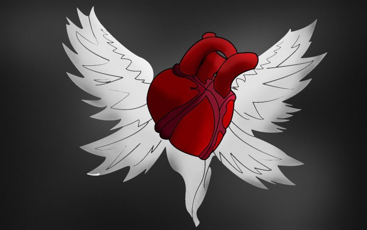 heart, Organs, Wings, Humanized HD Wallpaper Desktop Background