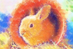rabbits, Painting, Colorful