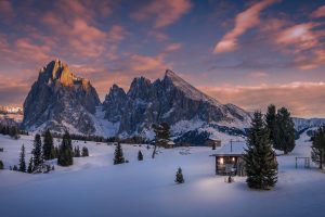 snow, Cabin, Mountains, Dolomites (mountains), Italy, Pine trees