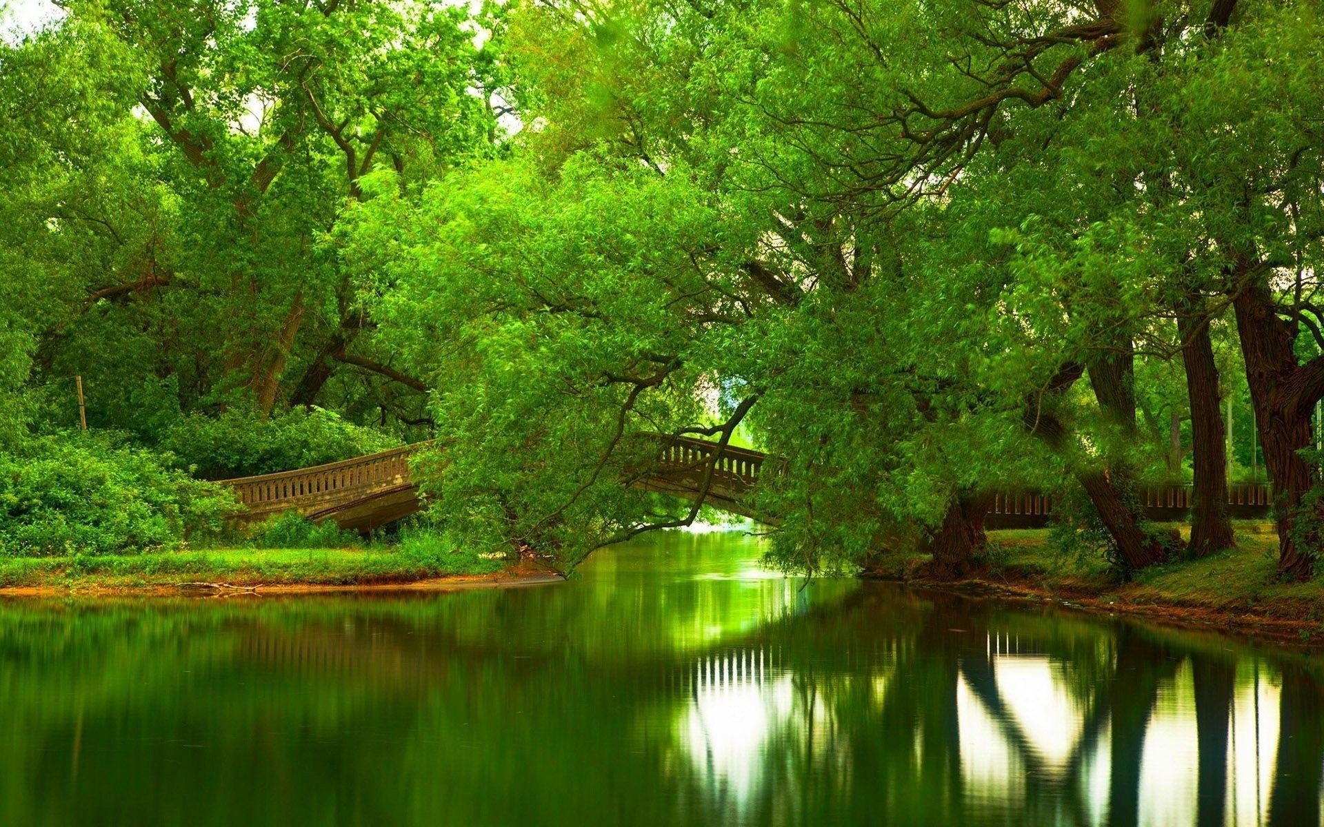 green, Bridge, Trees Wallpapers HD / Desktop and Mobile Backgrounds