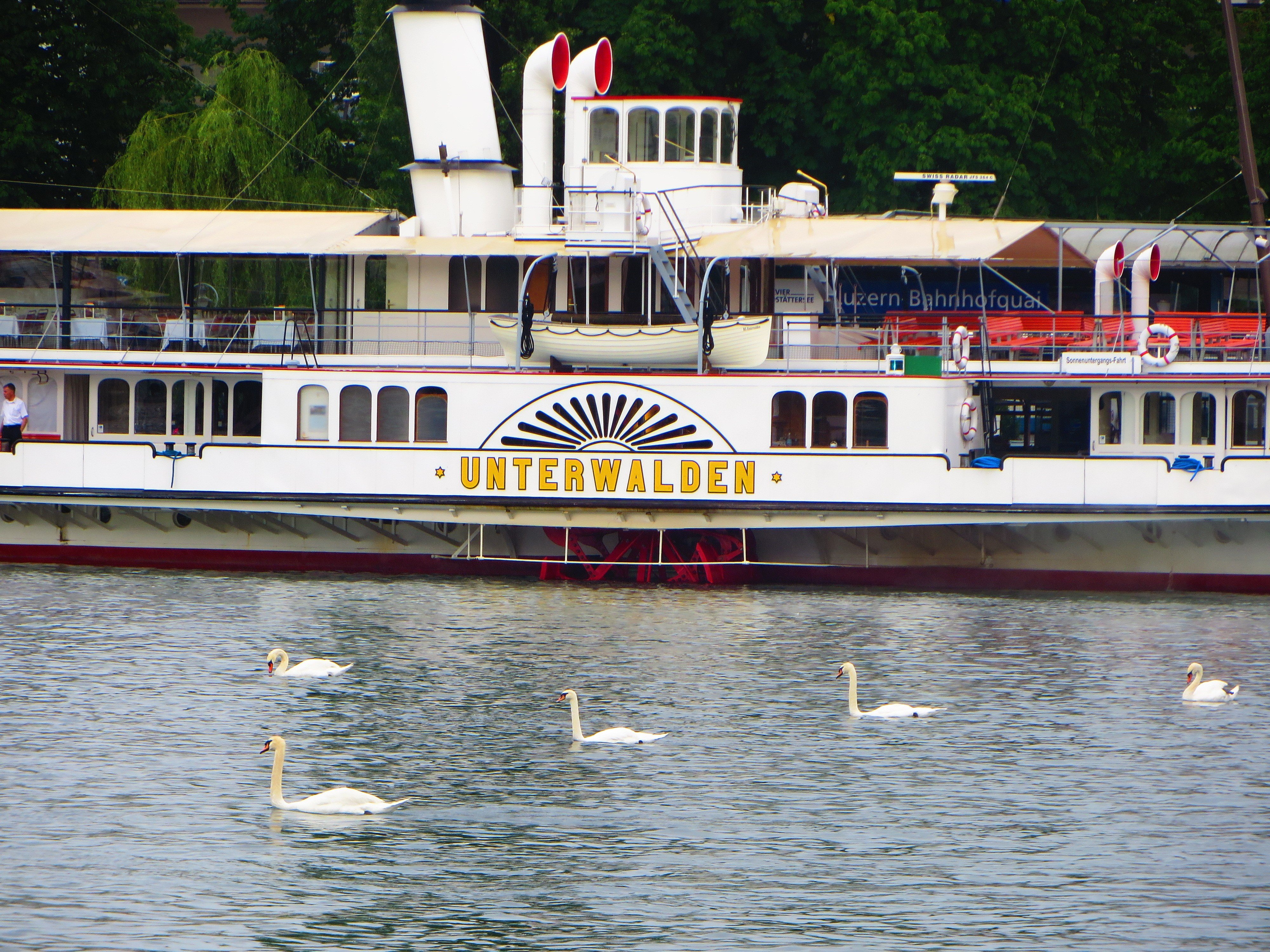 Switzerland, Luzern, Boat,  swan, Water Wallpaper