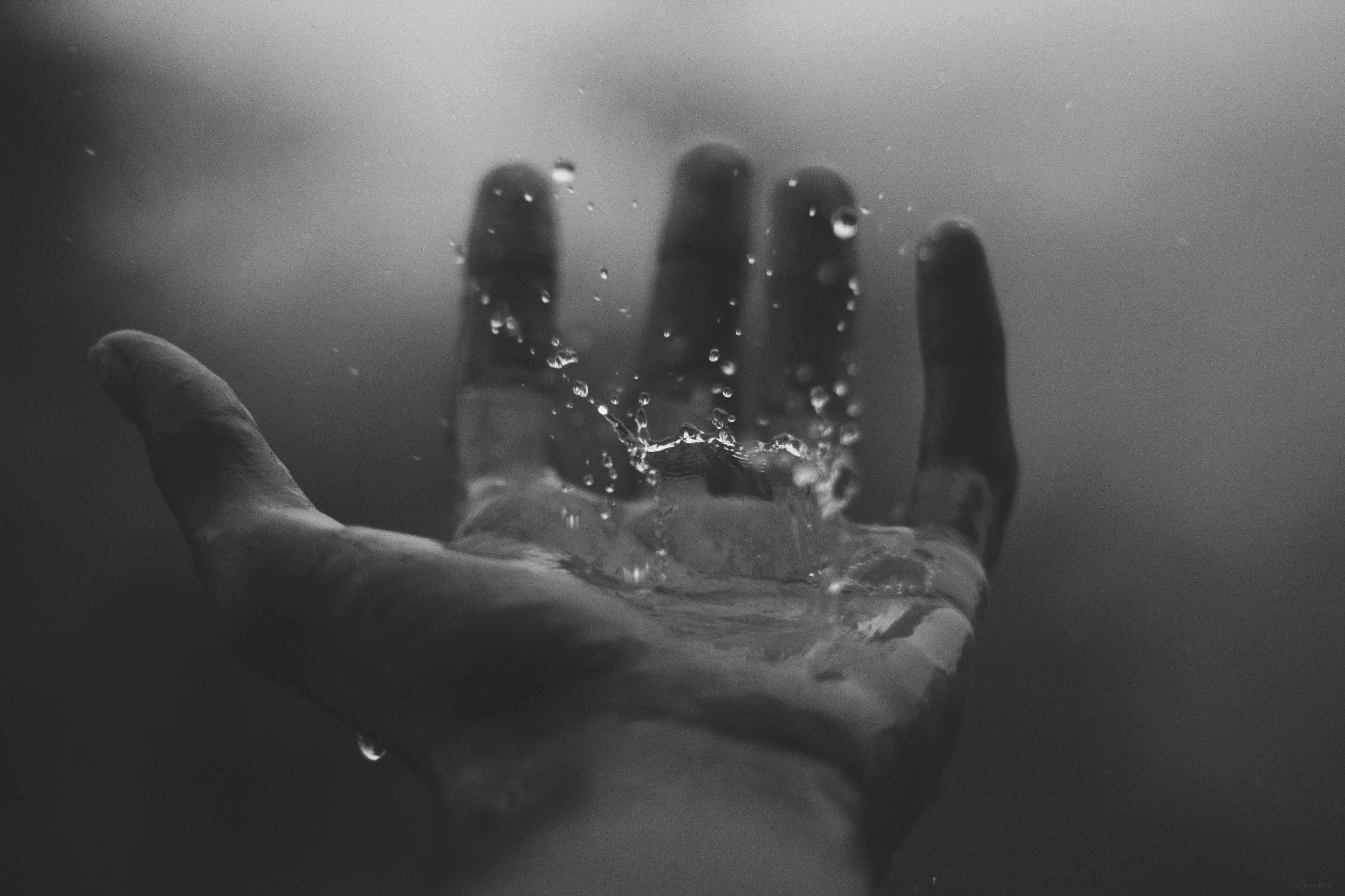 hands, Water drops, Rain, Monochrome Wallpaper