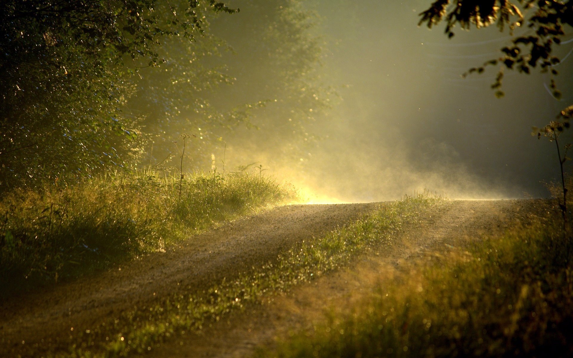 dirt road Wallpaper