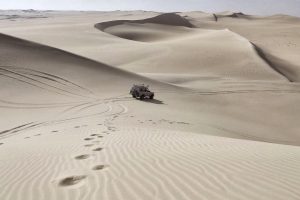 Jeep, Desert, White