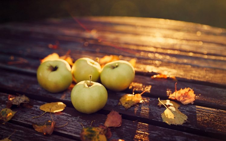 fruit, Macro, Table, Leaves, Sunlight HD Wallpaper Desktop Background