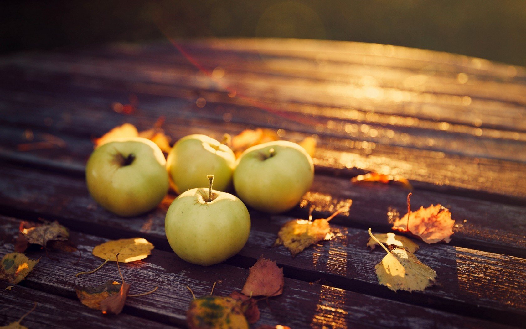 fruit, Macro, Table, Leaves, Sunlight Wallpaper