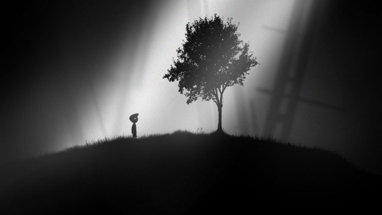trees, Monochrome, Sunlight, Limbo HD Wallpaper Desktop Background