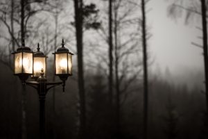 street light, Trees, Lights, Mist, Photography