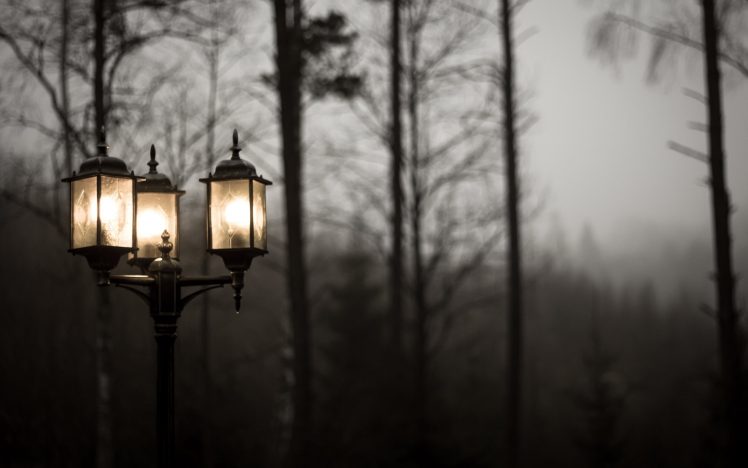 street light, Trees, Lights, Mist, Photography HD Wallpaper Desktop Background