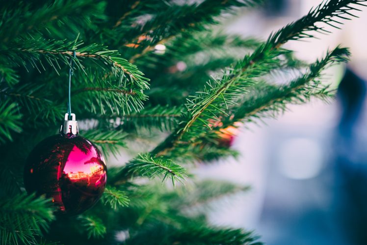 Christmas ornaments, Pine trees HD Wallpaper Desktop Background
