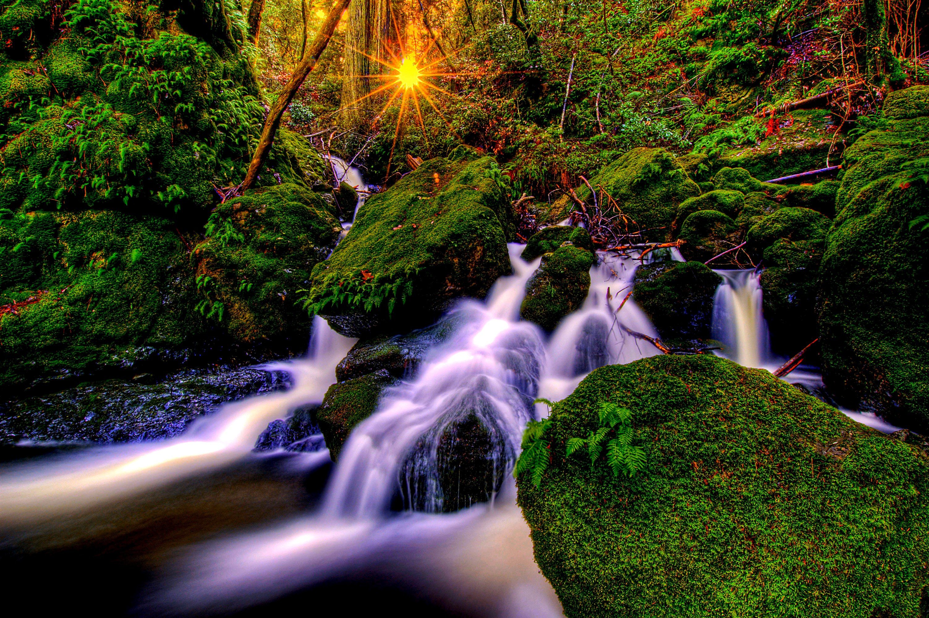 river Wallpaper