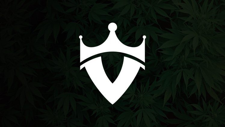 cannabis, Seaweed HD Wallpaper Desktop Background
