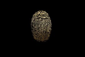fingerprint, Data, Biometrics